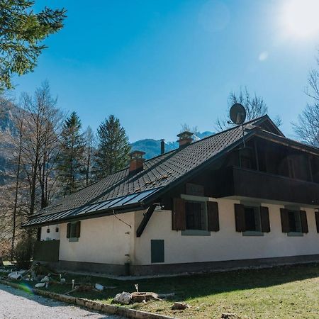 Tuba Apartments Bohinj Bagian luar foto