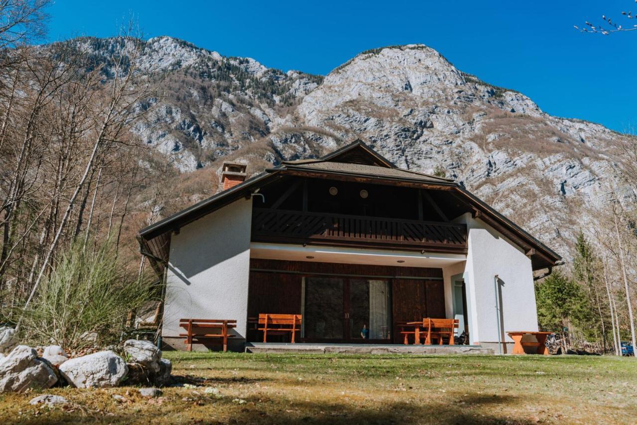Tuba Apartments Bohinj Bagian luar foto